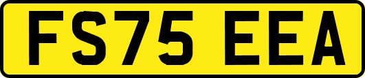 FS75EEA