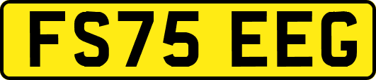 FS75EEG