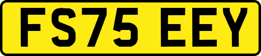 FS75EEY
