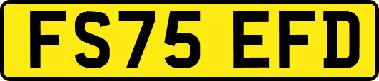 FS75EFD