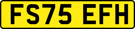 FS75EFH