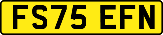 FS75EFN