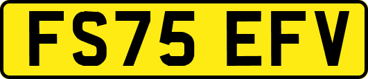 FS75EFV