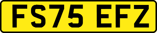 FS75EFZ