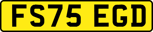 FS75EGD