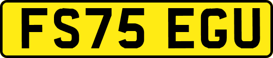 FS75EGU
