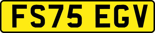 FS75EGV
