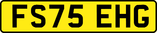 FS75EHG
