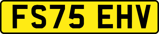 FS75EHV