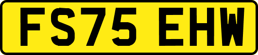 FS75EHW