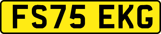 FS75EKG