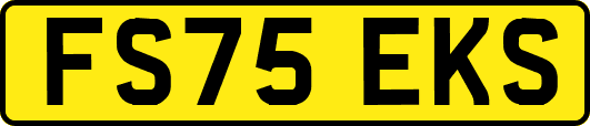 FS75EKS