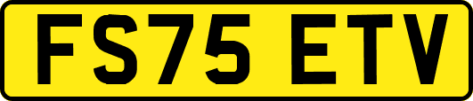 FS75ETV