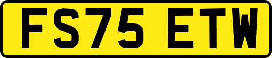FS75ETW