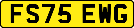 FS75EWG