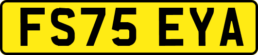 FS75EYA