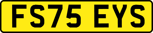 FS75EYS