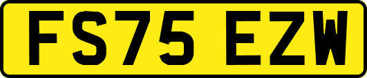 FS75EZW