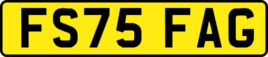 FS75FAG
