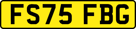 FS75FBG