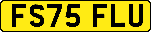 FS75FLU
