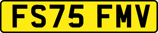FS75FMV
