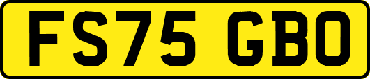 FS75GBO