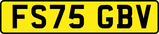 FS75GBV
