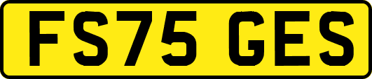 FS75GES
