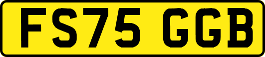 FS75GGB