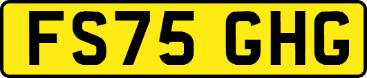 FS75GHG