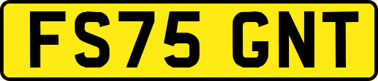 FS75GNT