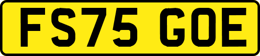 FS75GOE