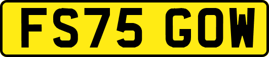 FS75GOW