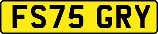 FS75GRY