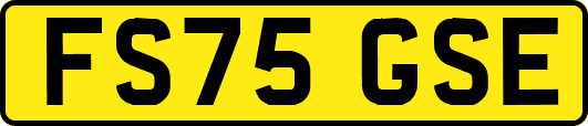 FS75GSE