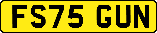 FS75GUN