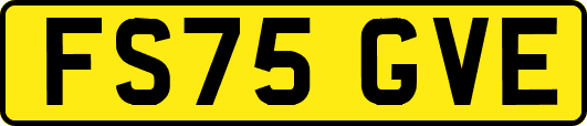 FS75GVE