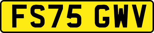 FS75GWV