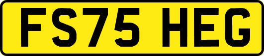 FS75HEG