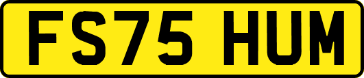 FS75HUM
