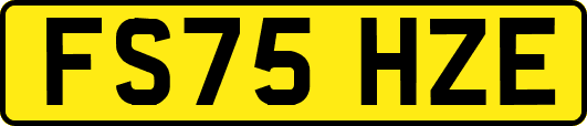 FS75HZE