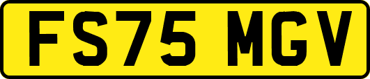FS75MGV