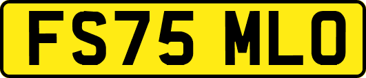 FS75MLO