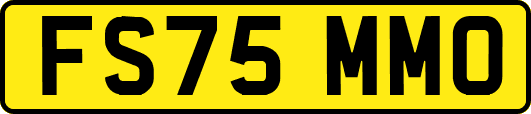 FS75MMO