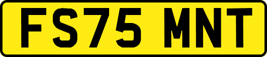 FS75MNT