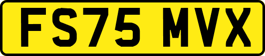FS75MVX