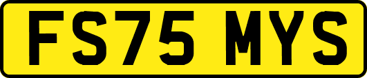 FS75MYS