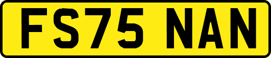 FS75NAN