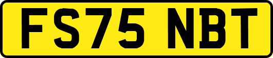 FS75NBT